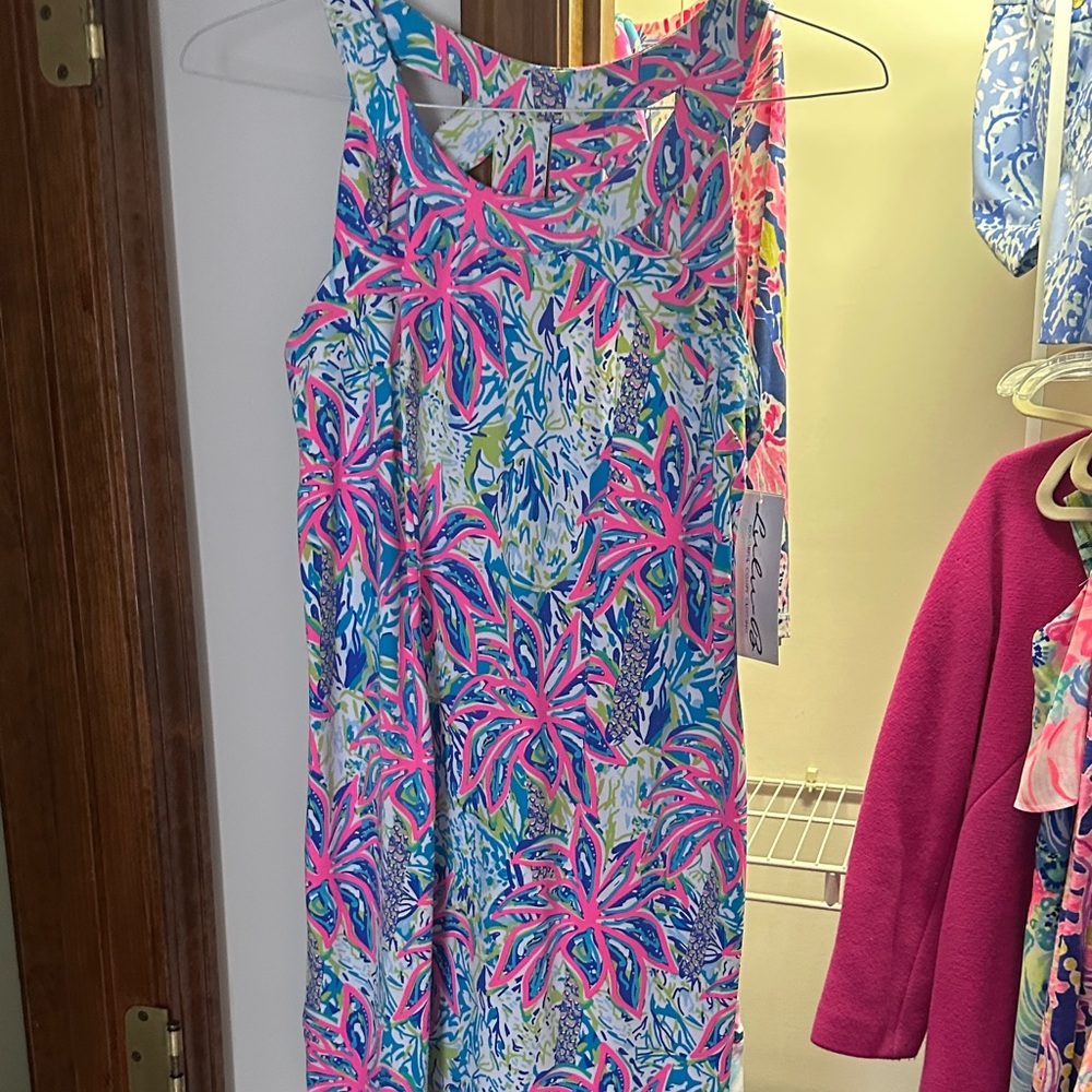 Lulu-B Vibrant Floral Dress - Pink and Blue